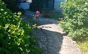 Rose Room 40M2 With Terrace 25M2 In Greeny Area For 4 Person